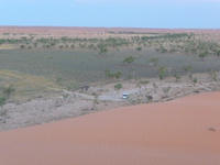 p1010059.jpg