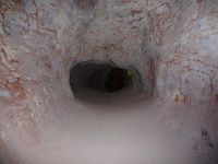 p1010234.jpg