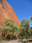 p1010417.jpg