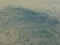 p1010821.jpg