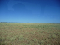 p1010974.jpg