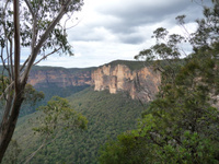 p1020803.jpg