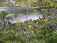 p1030756.jpg